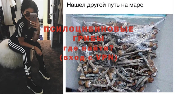 сатива Кукмор