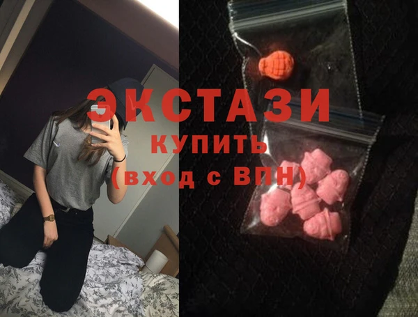 шишки Лабытнанги