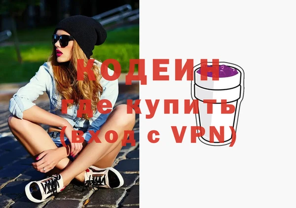 шишки Лабытнанги