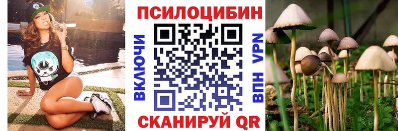 наркотики  Красный Холм  ссылка на мегу ТОР  Галлюциногенные грибы мицелий 
